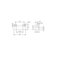 Keeper Plate for ProLatch Stainless Steel (Natural)