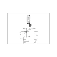 Catch Plate for Toggle Latch Stainless Steel (Natural)