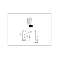 Catch Plate for Toggle Latch Stainless Steel (Natural)