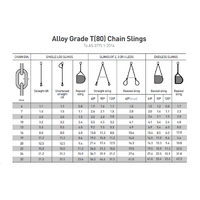 10mm Grade 80 Lifting Chain pm