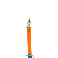 35mm 6m 1500kg Ratchet Tie Down Hook and Keeper