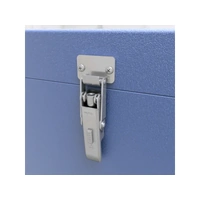 Catch Plate for Toggle Latch Stainless Steel (Natural)