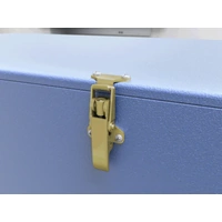 Catch Plate for Toggle Latch Carbon Steel Zinc Plate Passivate (Yellow)